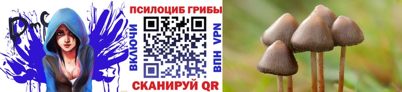 МЕГА зеркало  Мостовской  Галлюциногенные грибы Psilocybe 